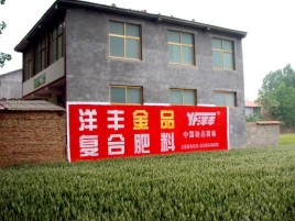 六盘水如何让墙体广告展现最大化效果
