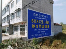 六盘水墙体广告质量分析