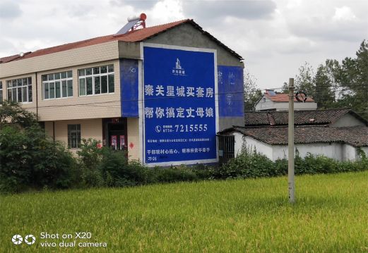 六盘水决定墙体广告价格的因素有哪些?